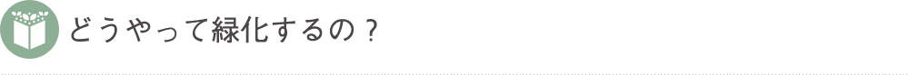 どうやって緑化するの？
